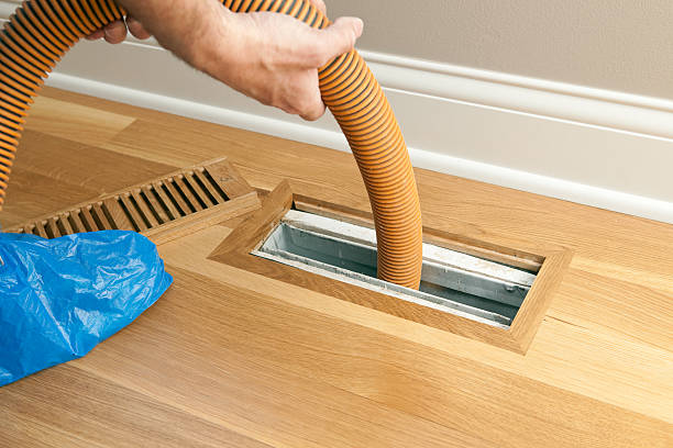 Best Professional Duct Cleaning Services  in Larimore, ND