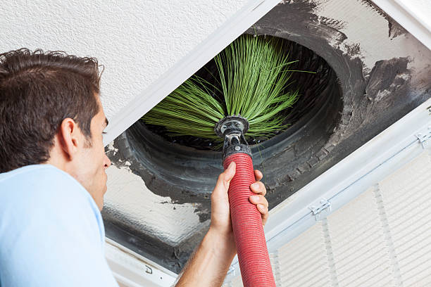 Best Air Duct Cleaning Company Near Me  in Larimore, ND