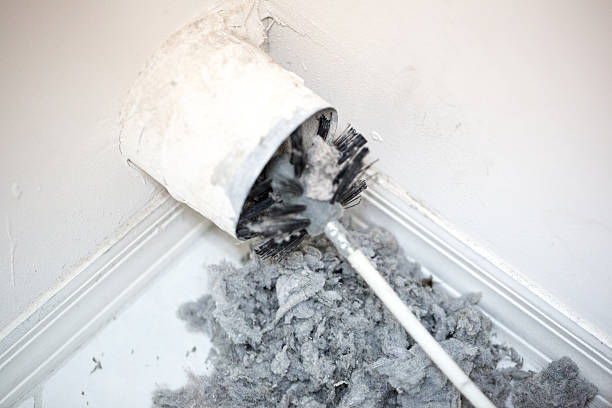 Best HVAC Duct Inspection Services  in Larimore, ND