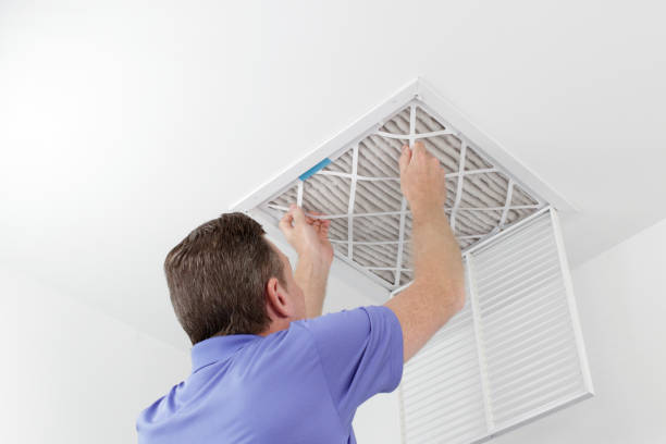 Best Residential Air Duct Cleaning  in Larimore, ND